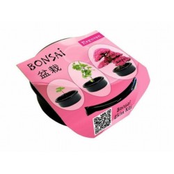 Bahçe için Hobi Bonsai Erguvan Ekim Kiti