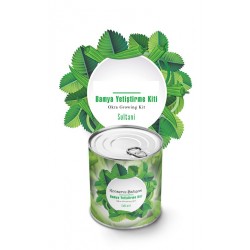 Bahçe için Konserve Bamya Yetiştirme Kiti