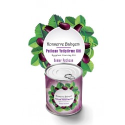 Bahçe için Kemer Patlıcan Konserve Yetiştirme Kiti