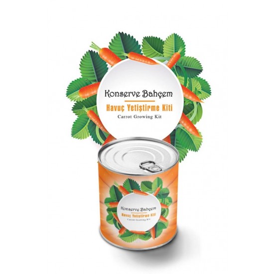Bahçe için Havuç Konserve Yetiştirme Seti