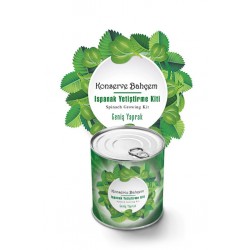 Bahçe için Ispanak Konserve Yetiştirme Seti