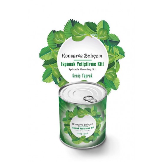Bahçe için Ispanak Konserve Yetiştirme Seti