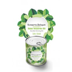 Bahçe için Kabak Konserve Yetiştirme Seti